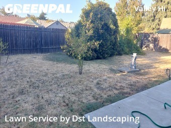 professional-lawn-care-service-in-Roseville-CA
