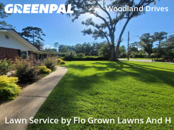 Lawn Cut nearby Tallahassee, FL, 