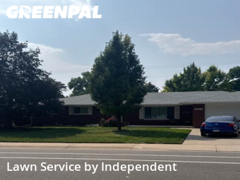 Yard Cutting in Loveland, 80538, Turf Services by Independent, work completed in Nov , 2025