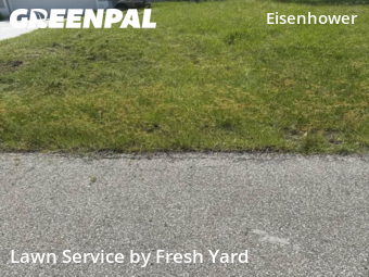 Lawn Cut nearby Lehigh Acres, FL, 