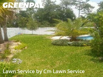 Lawn Cut nearby Saint Johns, FL, 