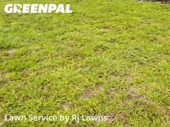 Grass Cut nearby Lady Lake, FL, 