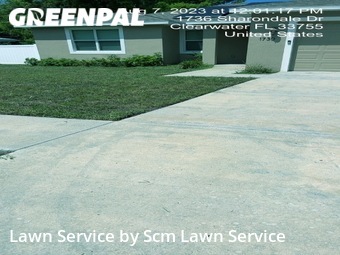 Grass Cut nearby Clearwater, FL, 