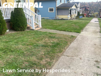 Yard Mowing nearby Springdale, PA, 