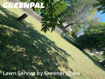 Lawn Care Service nearby Carmel, IN, 