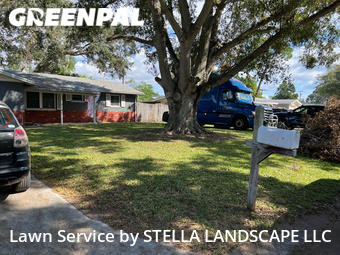 Lawn Mow nearby Largo, FL, 