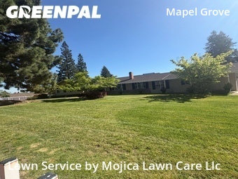 Work completed by cheap-lawn-cutting-businesses-in-Carmichael-CA