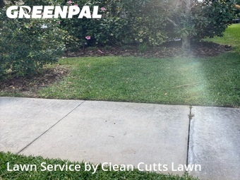 Grass Cut nearby Apollo Beach, FL, 