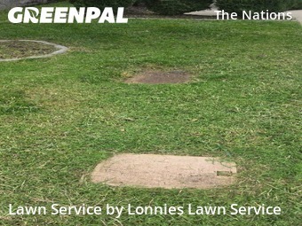 Lawn Care nearby Nashville, TN, 