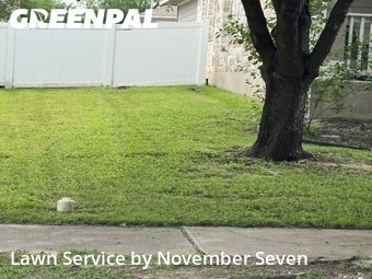 Lawn Care nearby Pflugerville, TX, 