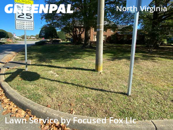 Grass Cut nearby Virginia Beach, VA, 