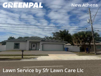 Lawn Mowingin Dunedin,34698,Lawn Cut by Sfr Lawn Care Llc, work completed in Jan , 2026