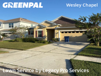 Lawn Service nearby Wesley Chapel, FL, 