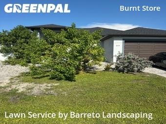 Yard Cutting nearby Cape Coral, FL, 