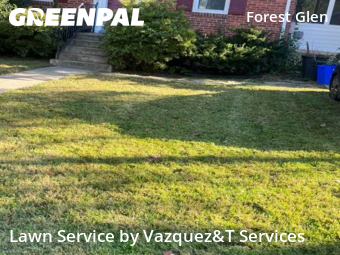 Lawn Cutting nearby Silver Spring, MD, 