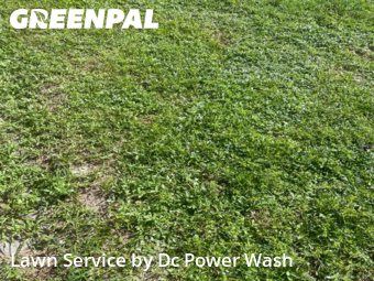 Lawn Upkeep in Greenacres, 33467, Grass Care by Dc Power Wash, work completed in Nov , 2025