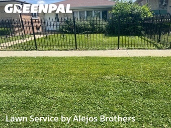 Lawn Maintenance nearby Chicago, IL, 