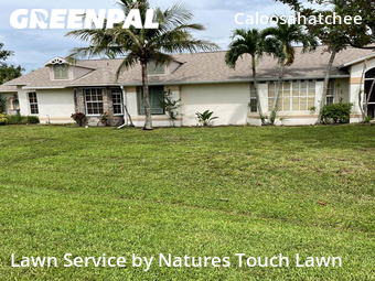 Lawn Service nearby Cape Coral, FL, 