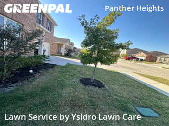Lawn Mow nearby Crowley, TX, 
