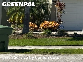 Yard Cutting nearby Bradenton, FL, 