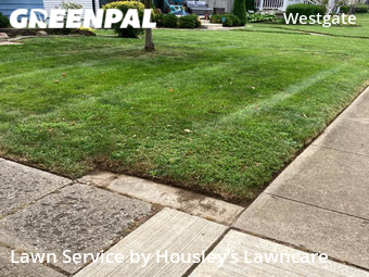 Lawn Care nearby Columbus, OH, 