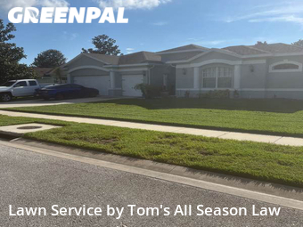Yard Cutting nearby Spring Hill, FL, 