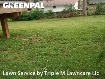 Grass Cutting nearby Blue Springs, MO, 