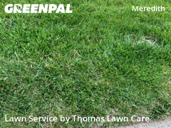 Grass Cutting nearby Des Moines, IA, 