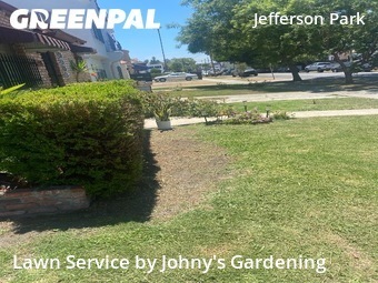 Lawn Mow nearby Los Angeles, CA, 