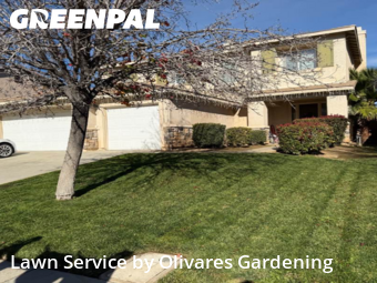 Landscaping Companies In Palmdale,93551,Landscaping by Olivares Gardening , work completed in Dec , 2025