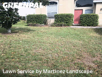 Lawn Cutting nearby Lady Lake, FL, 