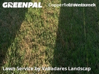 Grass Cutting nearby Houston, TX, 