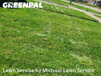 Lawn Cutting nearby Ypsilanti, MI, 