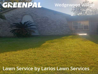 Lawn Mowing Servicein Friendswood,77546,Lawn Cutting by Larios Lawn Services, work completed in Dec , 2025
