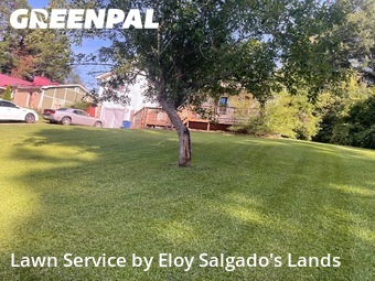 Grass Cut nearby Lawrenceville, GA, 