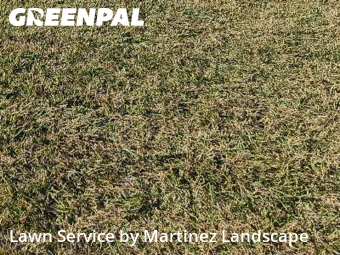 Lawn mowed in Lady Lake, 32159