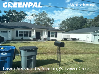 Yard Cutting nearby Jacksonville, FL, 