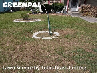Lawn Service nearby Apopka, FL, 