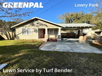 Lawn Cut nearby Tampa, FL, 