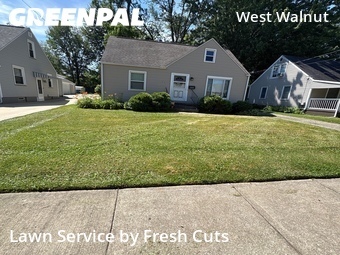 Lawn Cut nearby Painesville, OH, 