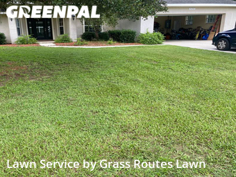 Grass Cut nearby Ocala, FL, 