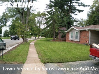 Lawn Care Service nearby St. Louis, IL, 