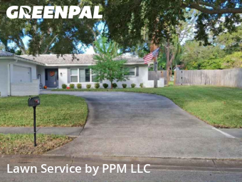 Lawn Mow nearby Clearwater, FL, 