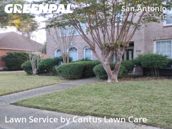 Grass Cut nearby San Antonio, TX, 