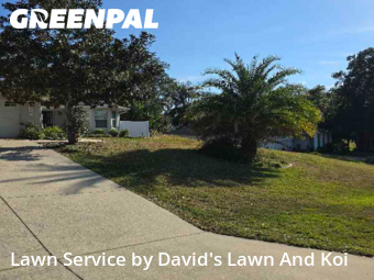 Turf Services in Lady Lake, 32159, Lawn Work by David's Lawn And Koi, work completed in Dec , 2025