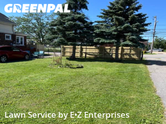 Grass Cut nearby Buffalo, NY, 