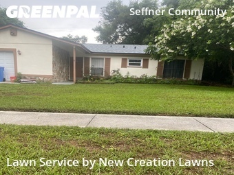 Lawn Mow nearby Seffner, FL, 