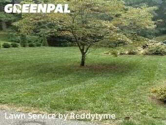 Lawn Cut nearby Prospect, KY, 