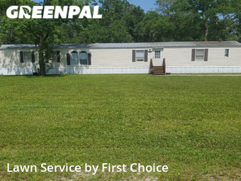 Lawn Mow nearby St. Augustine, FL, 