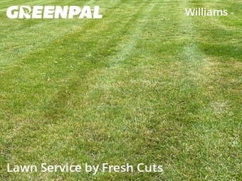 Yard Mowing nearby Mentor, OH, 